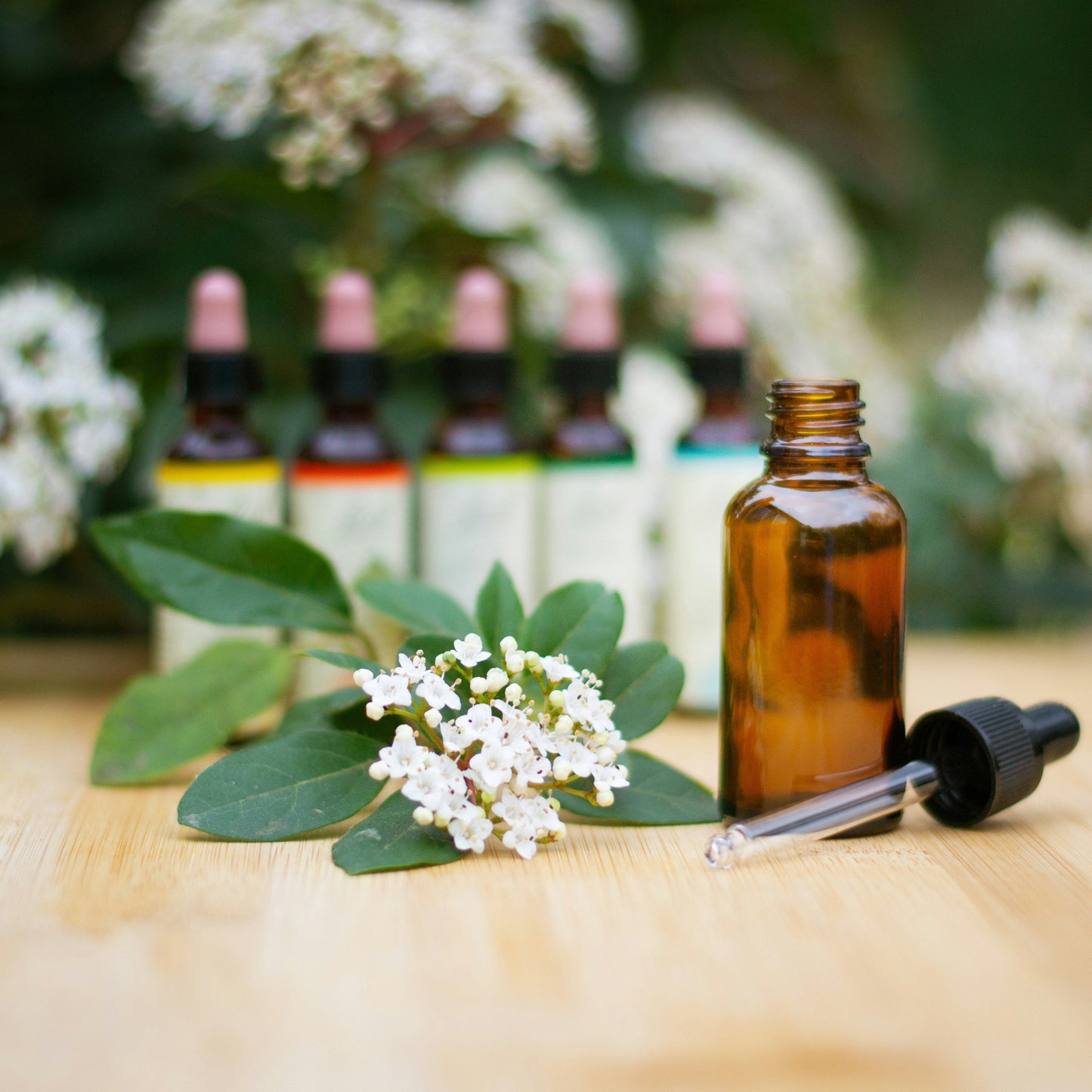 Custom Tincture (made to order)