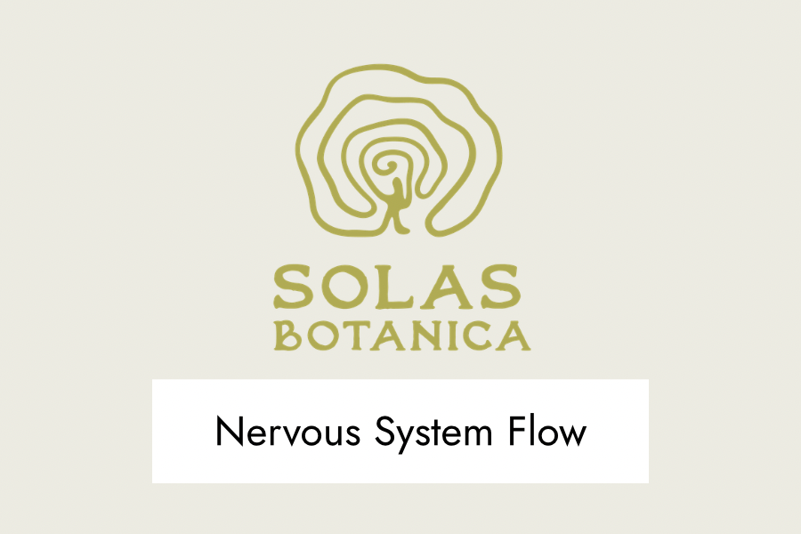 Nervous System Flow