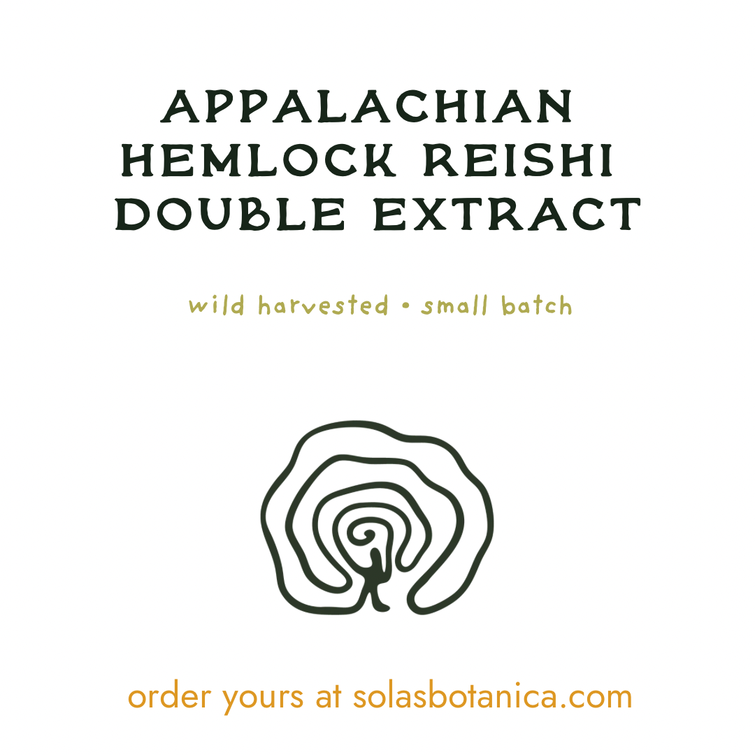 WILDCRAFTED APPALACHIAN HEMLOCK REISHI EXTRACT