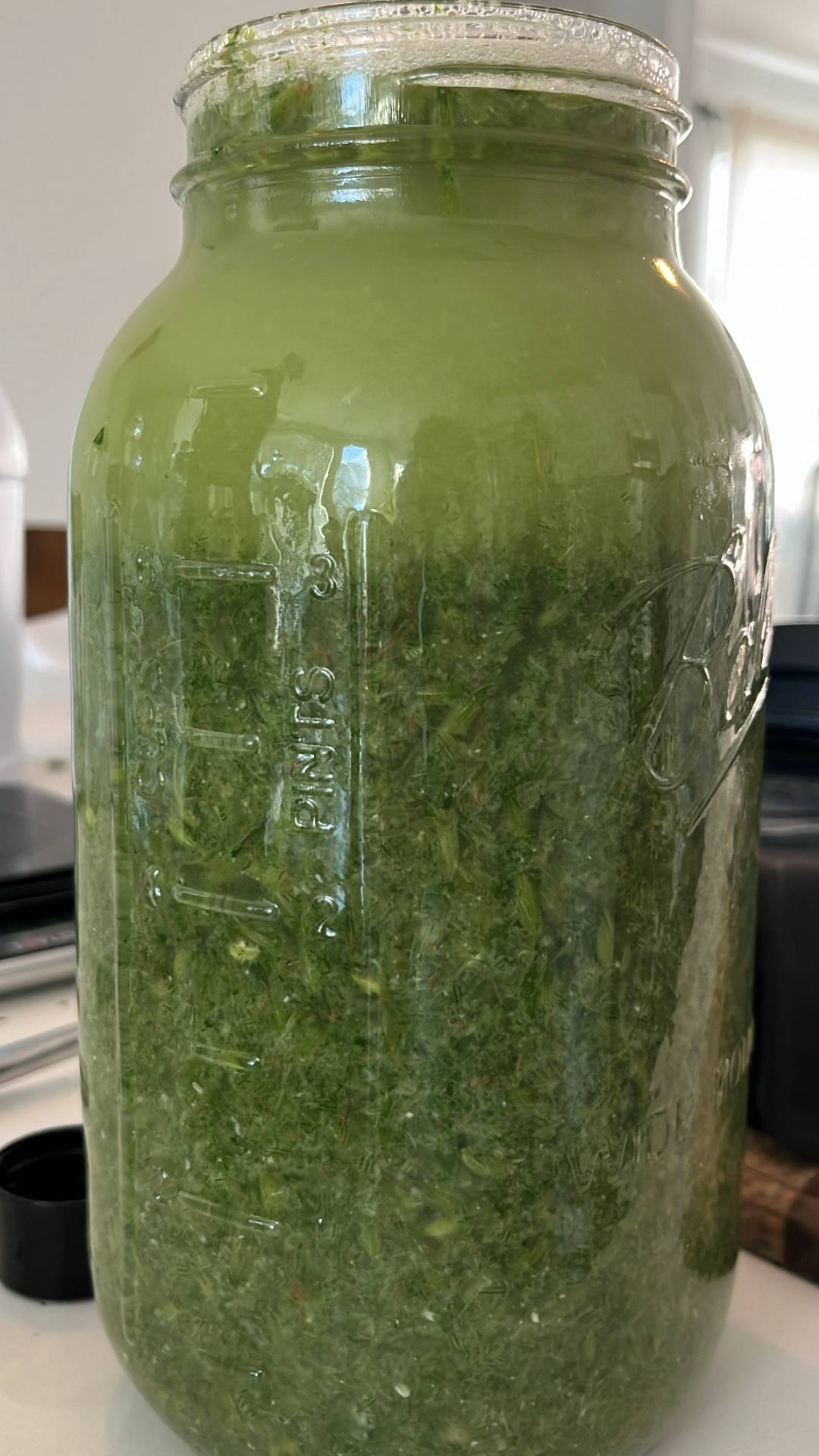 Fresh Milky Oats Tincture (nervous system restore)
