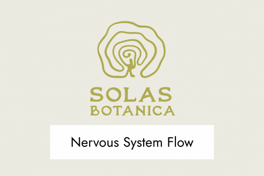 Nervous System Flow